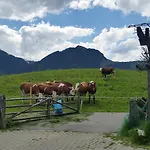 Apartmán Berger *